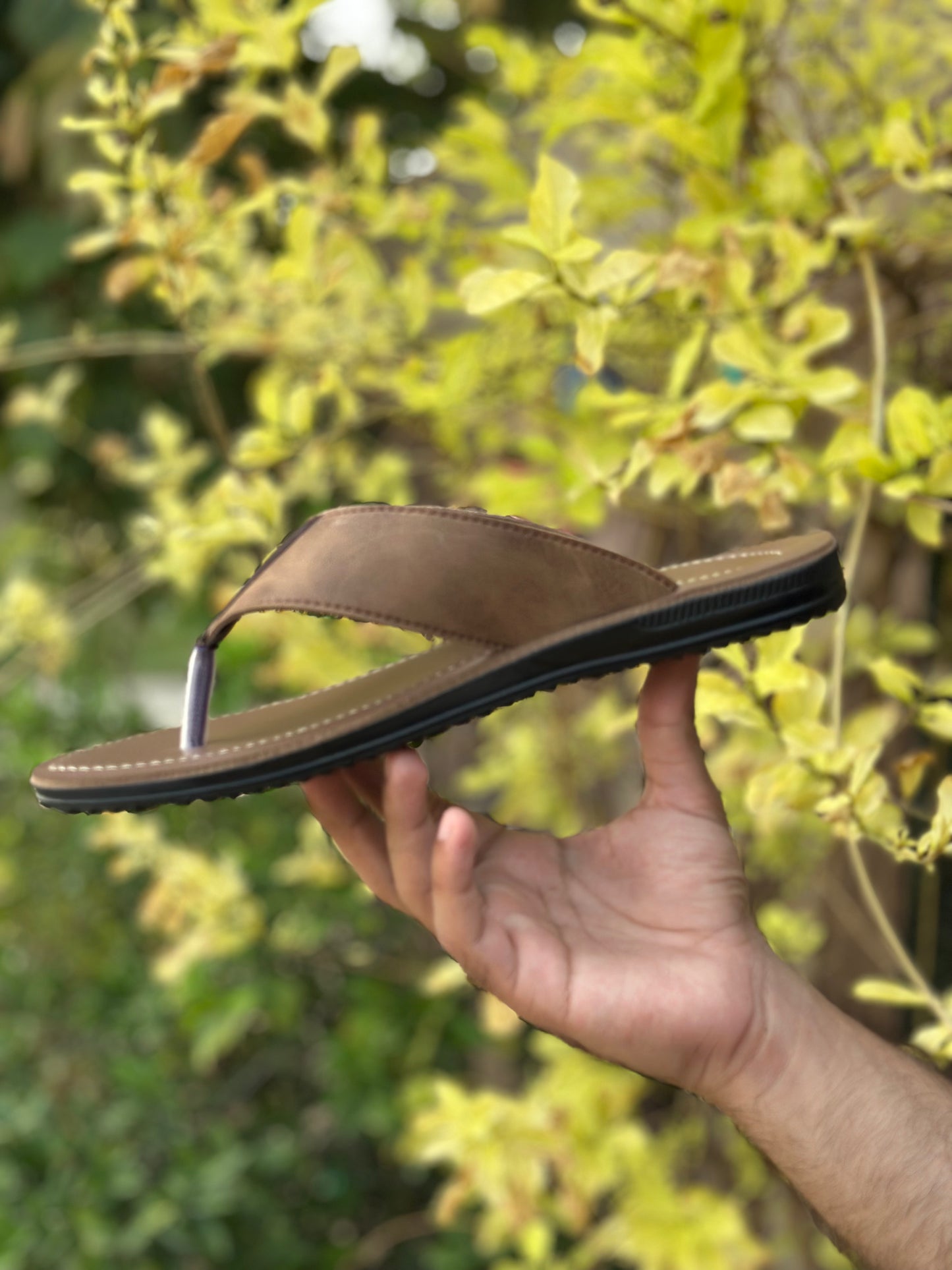 RANJHA SLIDE