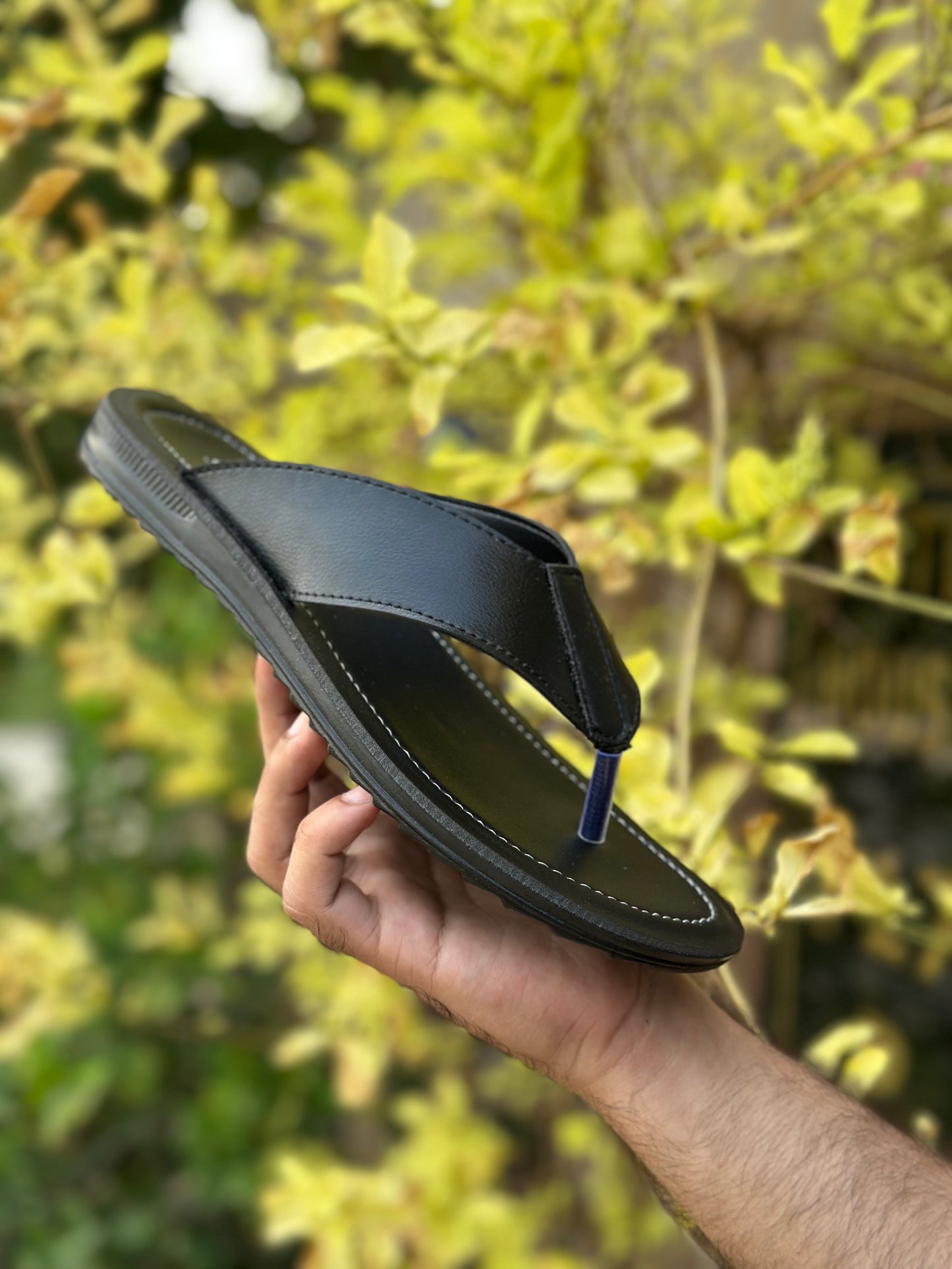 RANJHA SLIDE